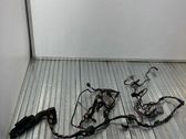 Front door wiring loom