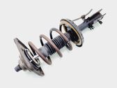 Front shock absorber with coil spring