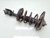 Front shock absorber with coil spring