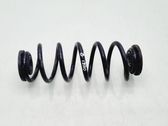 Rear coil spring