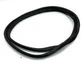 Rear door rubber seal (on body)