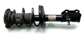 Front shock absorber with coil spring