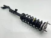 Front shock absorber with coil spring