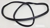 Trunk rubber seal (body)