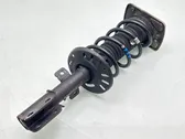 Front shock absorber with coil spring