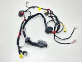 Front door wiring loom