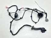 Rear door wiring loom