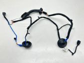 Rear door wiring loom