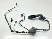Rear door wiring loom
