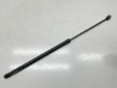 Tailgate/trunk strut/damper