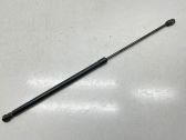 Tailgate/trunk strut/damper