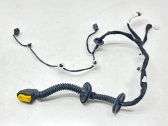 Rear door wiring loom