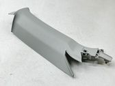 (C) pillar trim