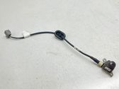 Reversing camera