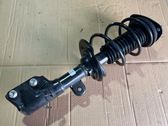 Front shock absorber with coil spring