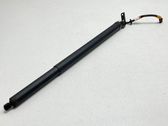 Tailgate/trunk strut/damper