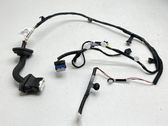 Rear door wiring loom
