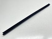 Front door glass trim molding