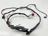 Tailgate/trunk wiring harness