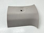 (C) pillar trim