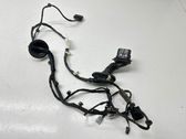 Rear door wiring loom
