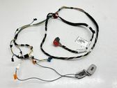 Other wiring loom