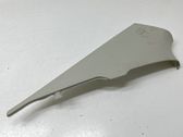 (C) pillar trim