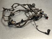Other wiring loom