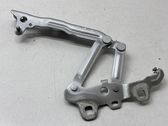 Engine bonnet/hood hinges