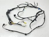Front door wiring loom