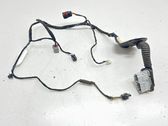 Cableado de puerta trasera