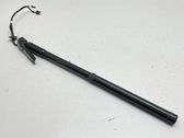Tailgate/trunk strut/damper
