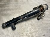 Rear shock absorber/damper