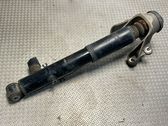 Rear shock absorber/damper