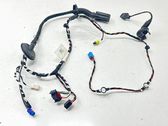 Front door wiring loom