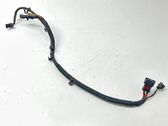 Other wiring loom