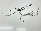 Front door wiring loom