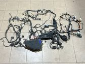 Проводка двигателя