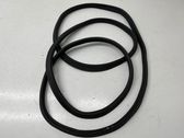 Trunk rubber seal (body)