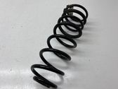 Rear coil spring