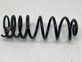 Rear coil spring