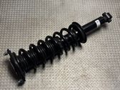 Rear shock absorber with coil spring
