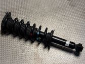 Rear shock absorber with coil spring