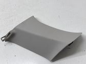 (C) pillar trim