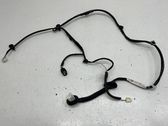 Other wiring loom