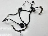 Rear door wiring loom