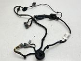 Front door wiring loom