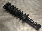 Rear shock absorber with coil spring