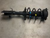 Front shock absorber with coil spring