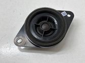 Panel speaker